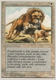 Leones de la sabana