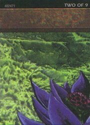 Black Lotus (Version 2) 002