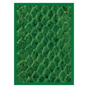 50 Dragon Hide Sleeves (Green)