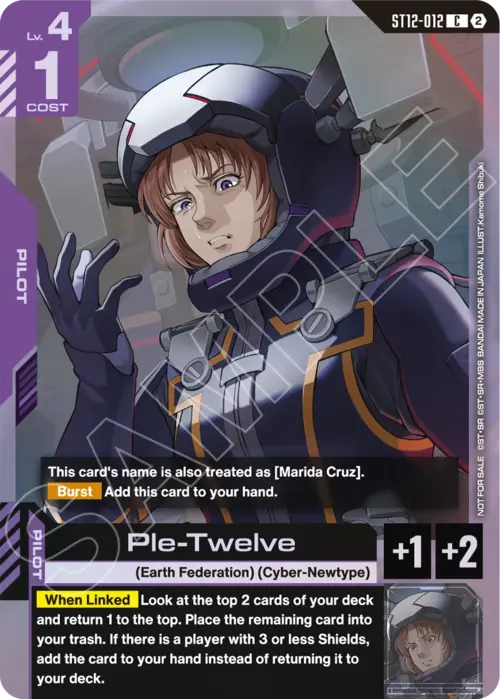 Ple-Twelve Card Front