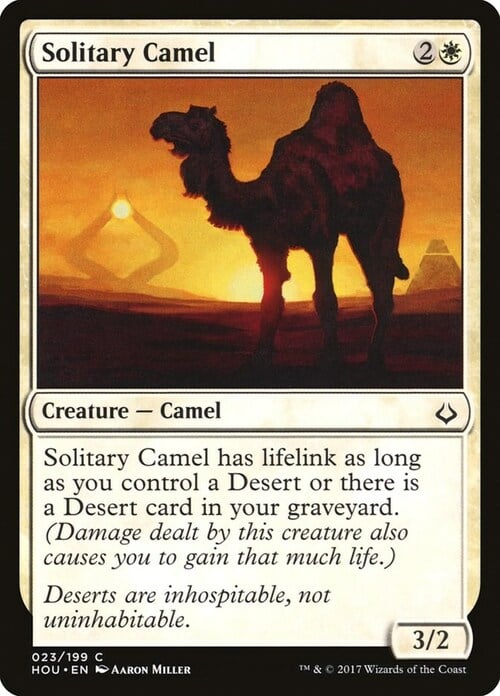 Solitary Camel Card Front