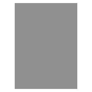 50 Legion Double Matte Sleeves (Silver)