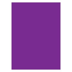 50 Legion Sleeves (Purple)