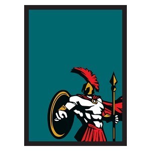 50 Legionaire Sleeves