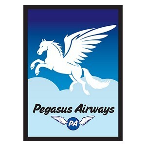 50 Pegasus Airways Sleeves