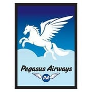 50 Fundas Pegasus Airways