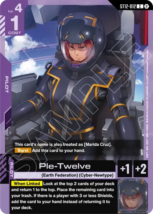 Ple-Twelve Card Front