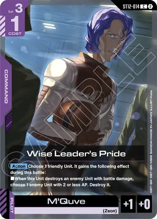Wise Leader's Pride Card Front