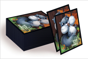 80 Liz Nugent: "Squirrel" Sleeves