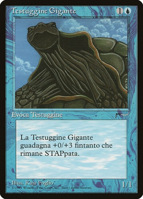 Giant Tortoise Card Front