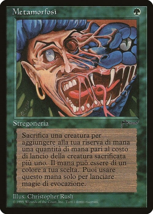 Metamorphosis Card Front