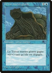 Giant Tortoise 026