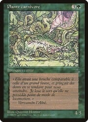 Carnivorous Plant 079