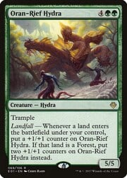Oran-Rief Hydra 069