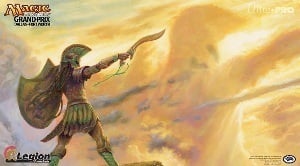 Grand Prix Dallas Fort Worth 2013 Playmat