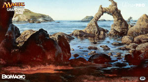 Grand Prix Kobe 2014 Playmat