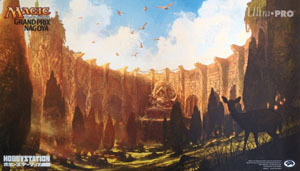 Grand Prix Nagoya 2014 Playmat