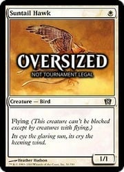 Suntail Hawk (Oversized)