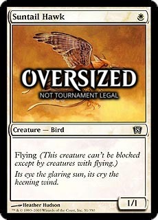 Suntail Hawk (Oversized) Card Front
