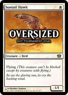 Suntail Hawk (Oversized) Card Front