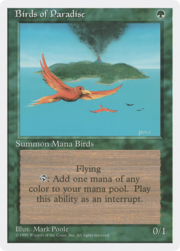 Birds of Paradise 234