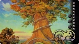 Magic 2010: Rootbound Crag Playmat