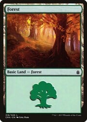 Forest · 318 318