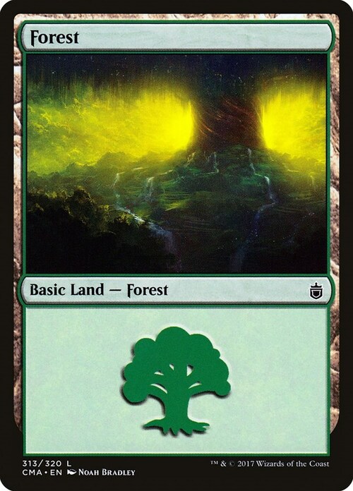 Forest Card Front