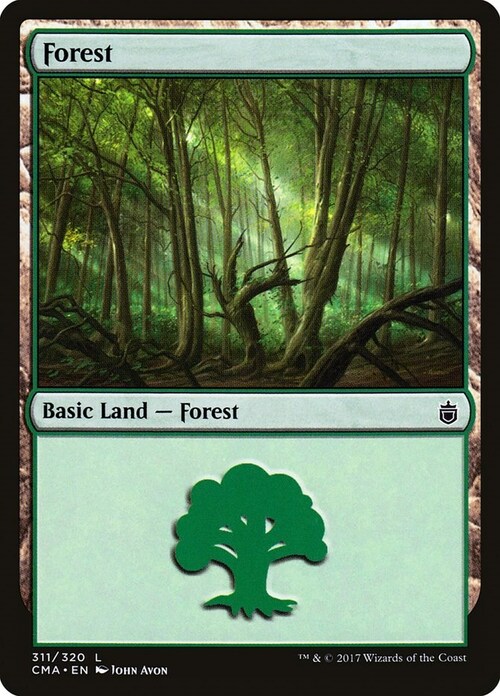 Forest Card Front