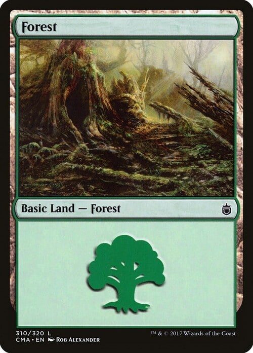 Forest Card Front