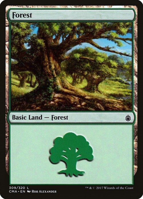 Forest Card Front