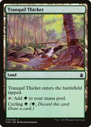 Tranquil Thicket 279