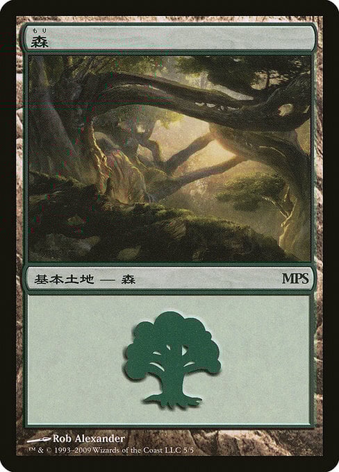 Forest Card Front