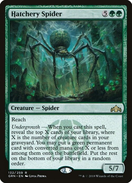 Hatchery Spider Card Front