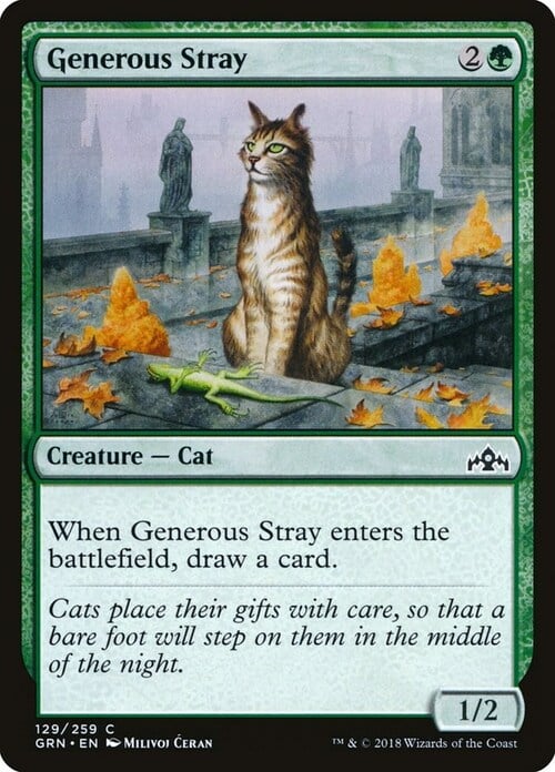 Generous Stray Card Front