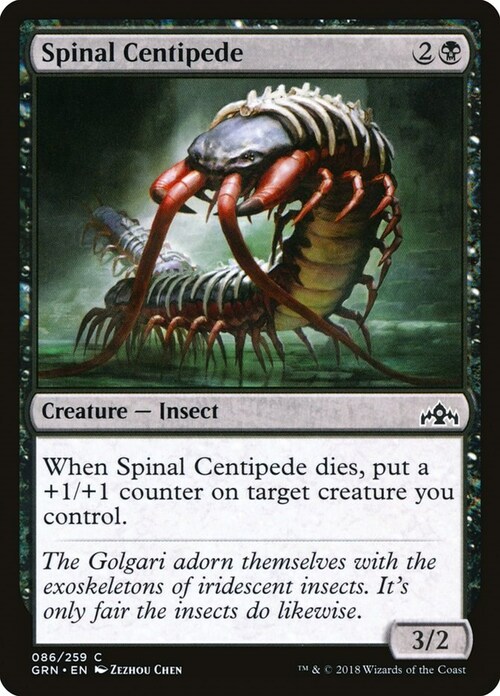 Spinal Centipede Card Front