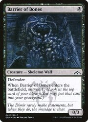 Barrier of Bones 061