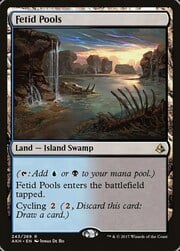 Fetid Pools 243
