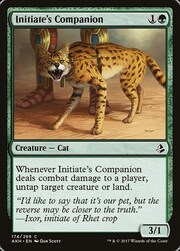 Initiate's Companion 174
