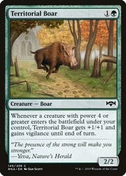 Territorial Boar 145
