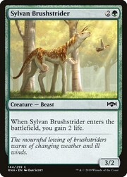 Sylvan Brushstrider 144