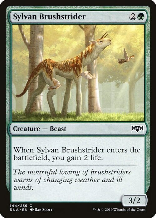 Sylvan Brushstrider Card Front