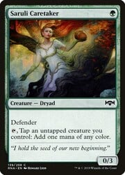 Saruli Caretaker 139