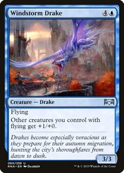 Windstorm Drake 060