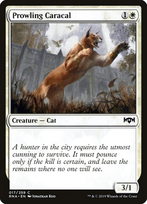 Lince in Agguato Card Front