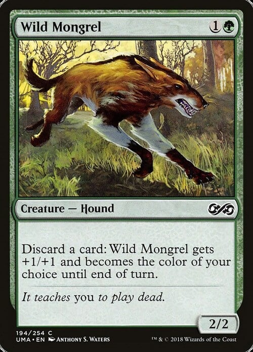 Wild Mongrel Card Front