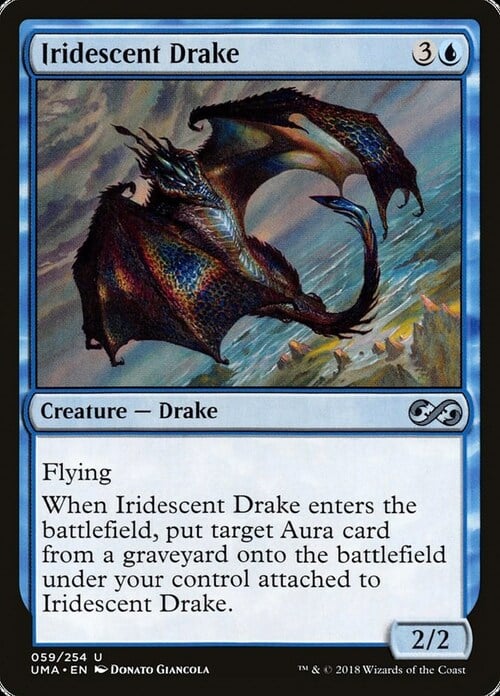 Iridescent Drake Card Front