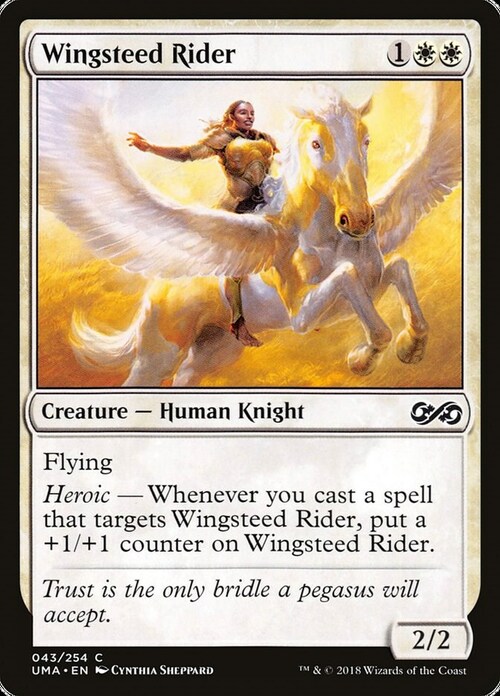 Wingsteed Rider Card Front