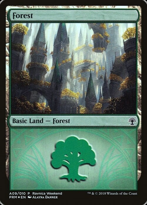 Forest Card Front