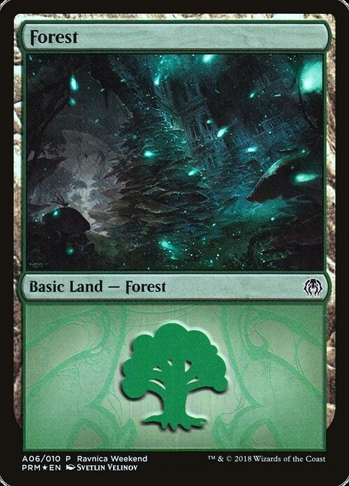 Forest Card Front